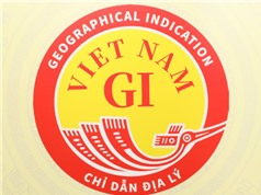 Công bố biểu trưng chỉ dẫn địa lý quốc gia chính thức của Việt Nam